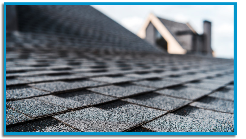 Shingle Roofing Contractor